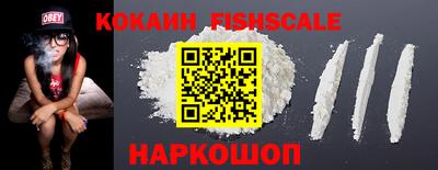 шишки Кингисепп