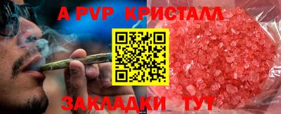шишки Кингисепп