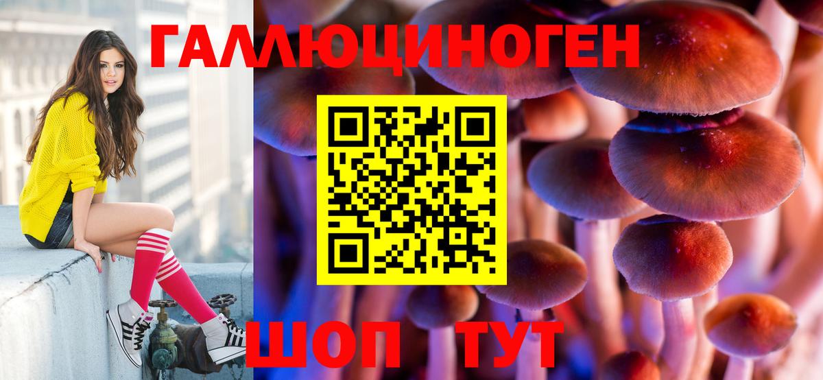 Кыштым  Псилоцибиновые грибы Cubensis  Вход с VPN 