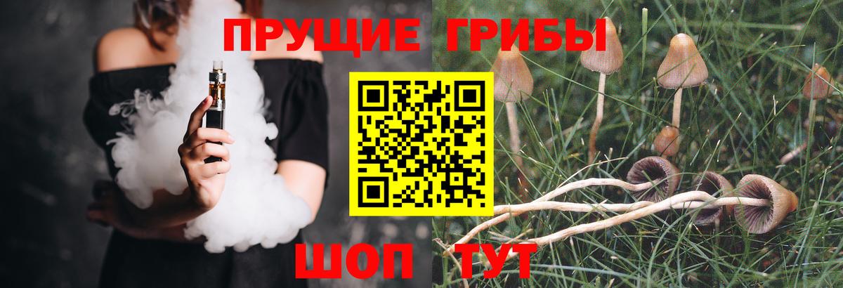 Галлюциногенные грибы ЛСД Кыштым